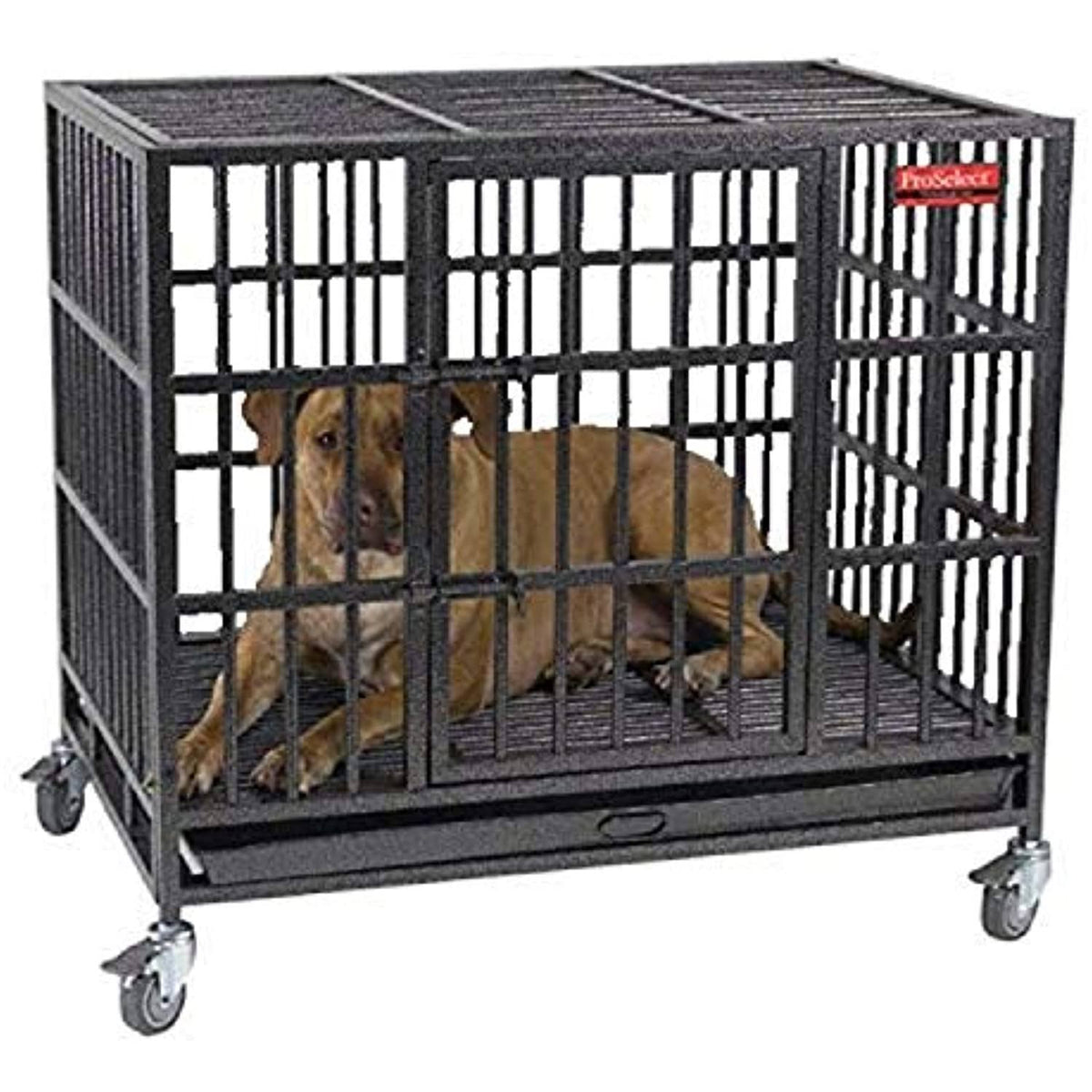 Large Empire Dog Cage by ProSelect
