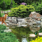 Outdoor Pond Waterfall and Filtration System with Pump Kit, 9.8FT Corrugated Tubing, Koi Pond Spillway Box for Clear Water Features