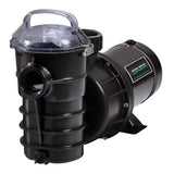 Pentair 340063 Dynamo Pump with 1.5HP Motor and 115V Power