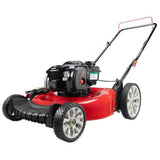 Troy-Bilt TB100 Walk-Behind Push Mower with Briggs and Straton Engine