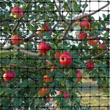 OldMacDonald Deer and Animal Barrier Netting, 7.5 x 100 (2.3m x 30m), 19 x 19mm Mesh, 55gr/sq m