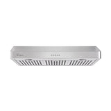 2-Piece Kitchen Appliance Package with Portable 2-Element Induction Cooktop and 30-Inch Under-Cabinet Range Hood