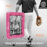 ALAGPRO The Original 9-Hole Baseball and Softball Pitching Net with Strike Zone Pocket and Pitching Target