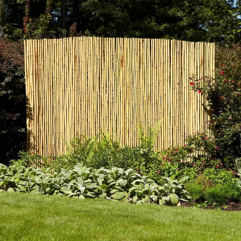 Vigoro Natural Full-Round Bamboo Fence, 6 ft. x 8 ft.