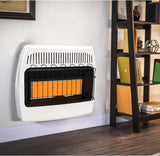30,000 BTU Vent-Free Wall Heater for Indoor Use with Dual Natural Gas and Propane Fuel Compatibility