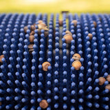 Bag-A-Nut 36×22 Small Acorn Picker Upper Push Collector