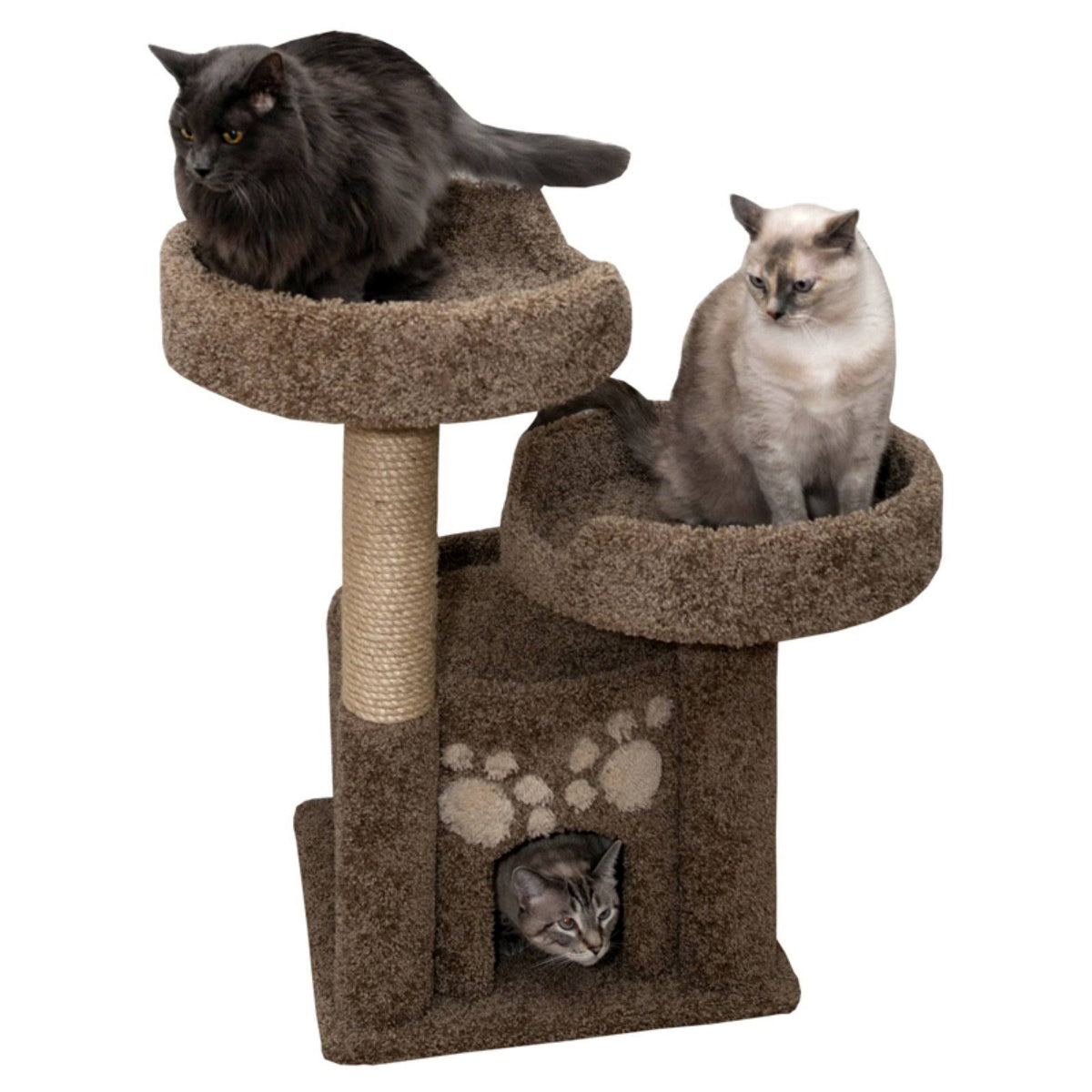 Double-Perch Cat Condo Crafted from Solid Wood, Brown
