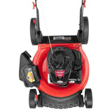 Troy-Bilt TB100 Walk-Behind Push Mower with Briggs and Straton Engine