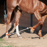 Martin Saddlery Sideline Hobbles for Equestrian Use