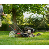 Troy-Bilt TB100 Walk-Behind Push Mower with Briggs and Straton Engine