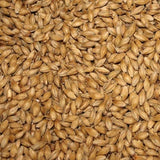 Briess 2-Row Brewers Malt for Home Brewing, 50 lbs.