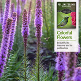 Hummingbird Pollinator Mix Wildflower Seeds by Survival Garden Seeds, Non-GMO Heirloom Varieties with Planting Instructions for Home Vegetable Gardens