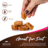 Oregon Farm Fresh Snacks Individually Wrapped Sea Salt and Vanilla Caramels, Soft Gluten-Free Chewy Candy, 16 oz