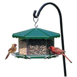 Homestead Triple-Bin Party Bird Feeder