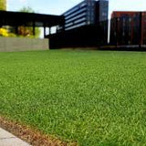 Outsidepride Seashore Paspalum Grass Seed, 25 lbs.